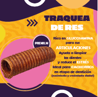 TRAQUEA DE RES DESHIDRATADA - Imagen 2